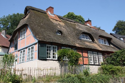 Schneider_028