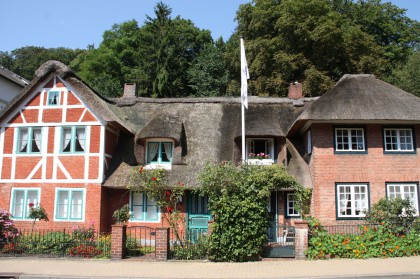Schneider_029